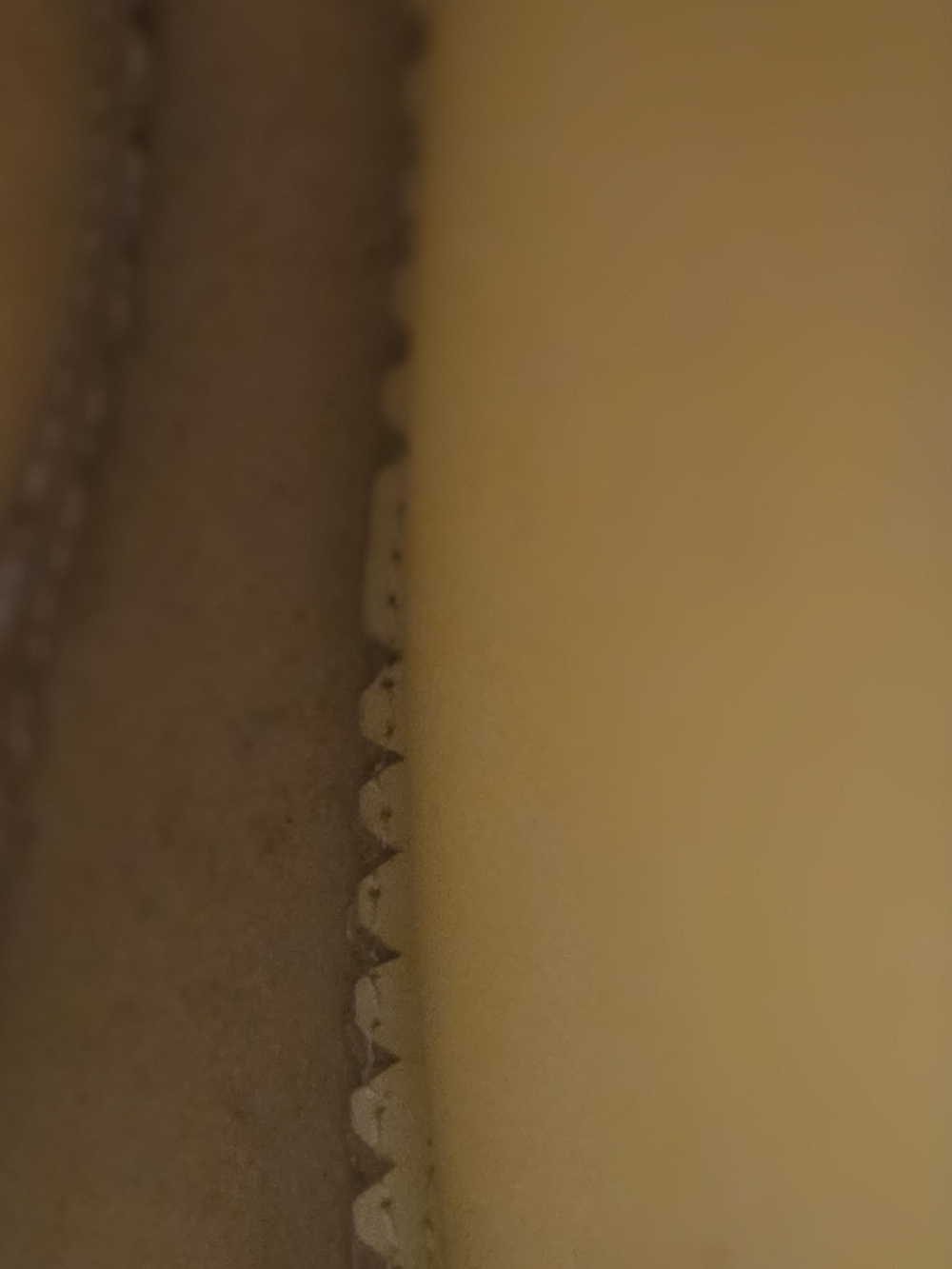 Portland Leather Goods Large Circle Crossbody Buttercream EUC - Picture 12 of 13
